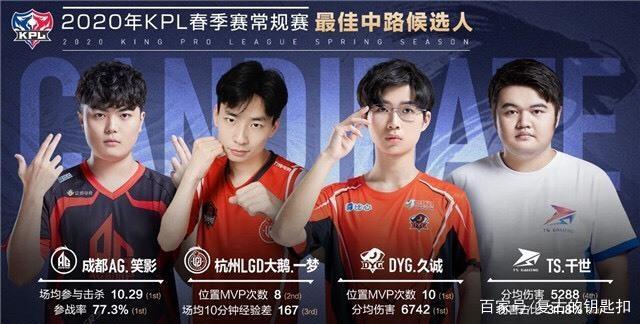 教练团队