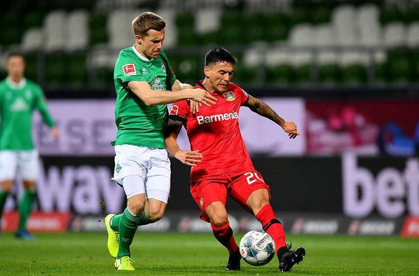 这一机制的 这一机制的